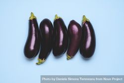 Fresh eggplants arranged in a row 5nE2n0