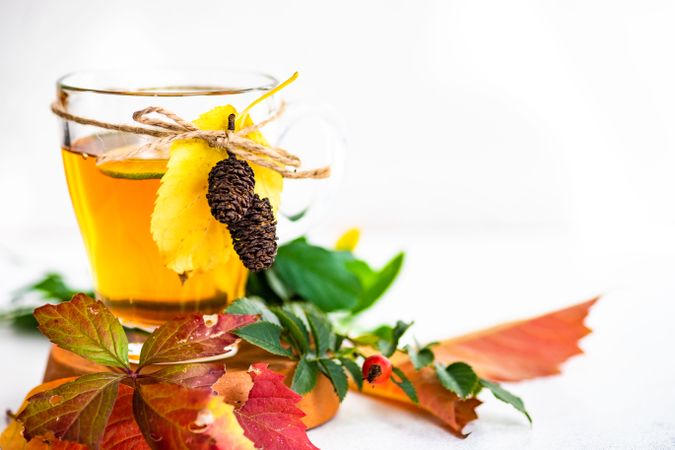 Side view of autumnal tea with slice of lemon and colorful leaves