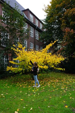 University student standing beside yellow tree in Hamburg, Germany