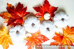Light squash decorations with colorful autumn leaves 0vEGxb