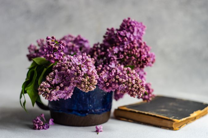 Home interior decor with lilac flowers
