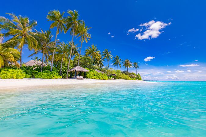 Beautiful beach with palm trees shot from the water