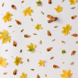 Autumn leaves pattern on light background