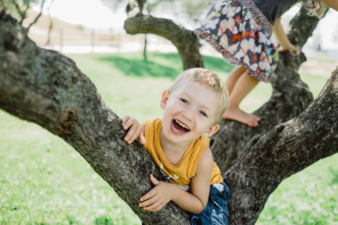Playful children climbing tree on sunny green meadow