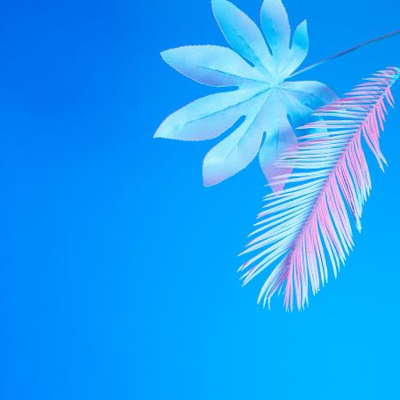 Tropical leaves in vibrant bold gradient holographic neon  colors