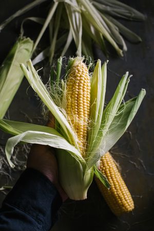 Crop person peeling corn over table
