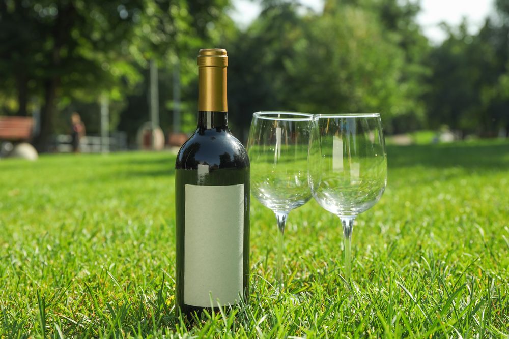 Bottle of wine and glasses on green grass, space for text