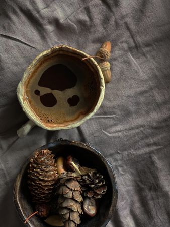 Top view of ceramic coffee cup and bowl of pine cones