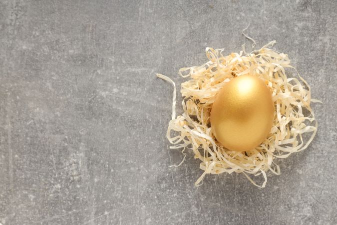 Golden egg, pension savings, investments, retirement, space for text