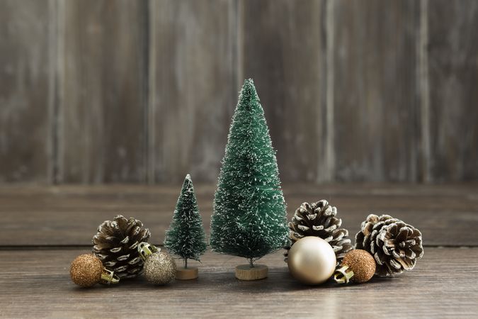 Arrangement with Christmas trees and pine cones