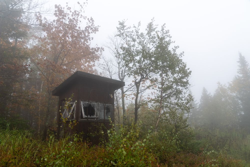 Foggy hut in the forest