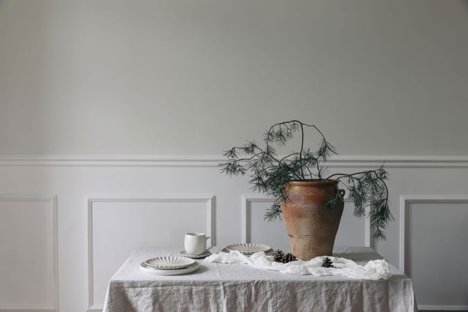 Festive winter dinner table setting with cup of coffee, plates and pine tree branches in large pot