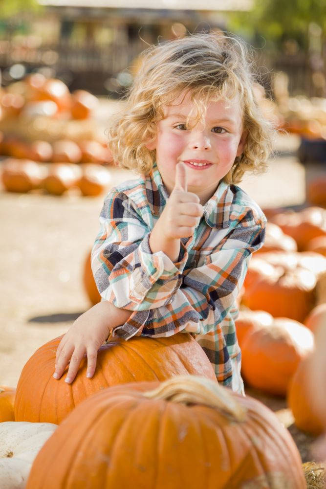 Male Child Gives Thumbs Up  at Pumpkin Patch.