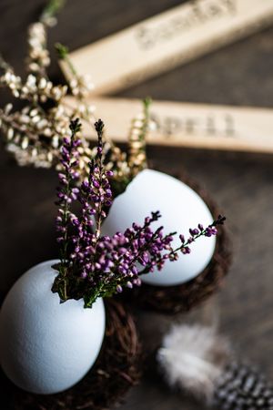 Close up of heather in decorative eggs for Easter table