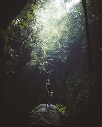 Man on rock in mysterious tropical woods