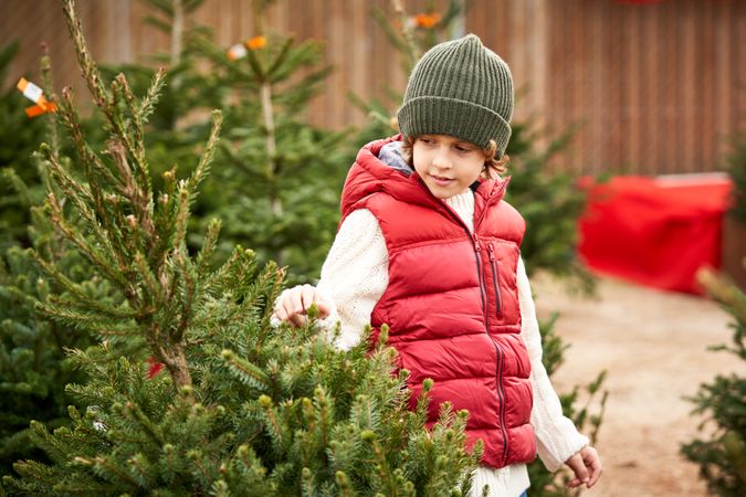 Cute little boy choosing Xmas tree in market