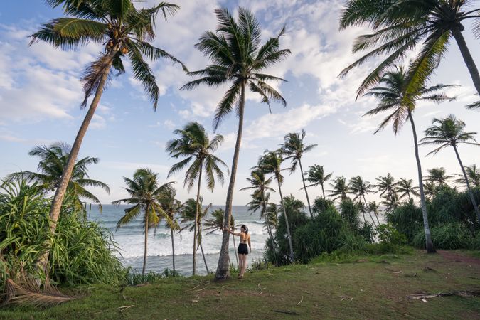 Tranquil female traveler among palms at seashore