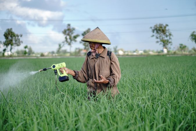 Front view of Asian farmer spraying rice green field