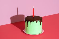 Homemade cake with peppermint and chocolate