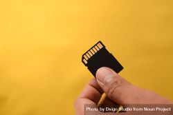 Hand holding SD card for data in yellow studio shoot with copy space bDj2gp
