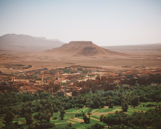 Panorama of green town in desert