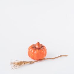 Broomstick and pumpkin on light  background