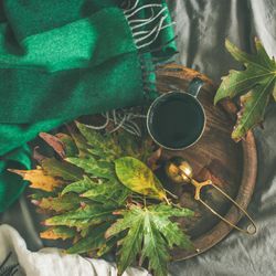 Fall leaves next to tea cup and infuser on wooden tray