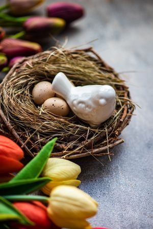 Bird ornament in nest with small eggs surrounded by tulips