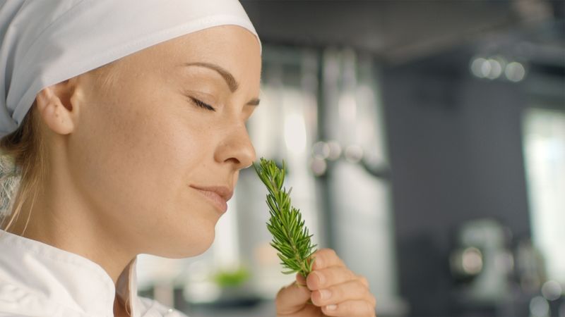 Female Chef Smells Decorative Spice Plant.