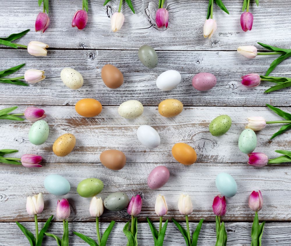 Happy Easter holiday concept with eggs surrounded by pink tulip box shaped border on rustic wood
