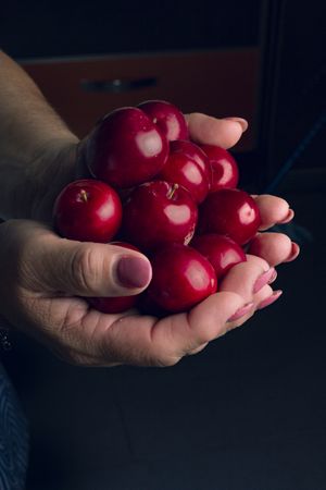 Crop hands with ripe cherries