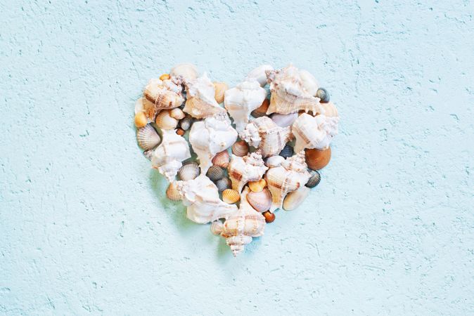 Heart made of seashells on blue background