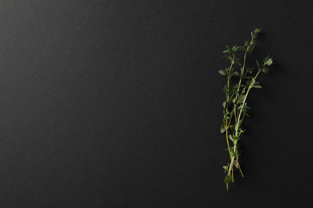 Top view of sprig of thyme