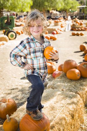 Male Child Holding His Pumpkin at a Pumpkin Patch.