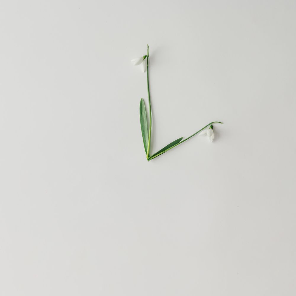 Snowdrop flowers  in clock shape on bright background