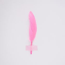 Single pink feather taped on wall
