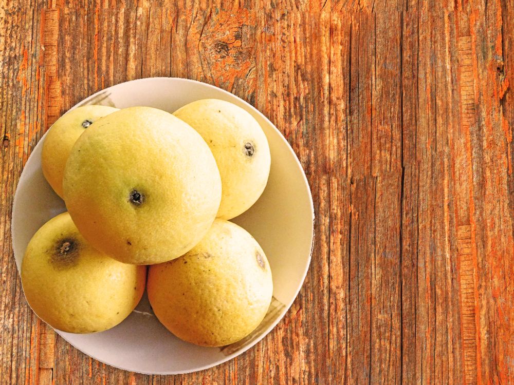 oranges on wooden background