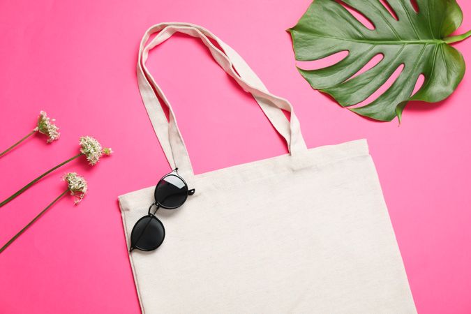 Eco bag, palm leaf, sunglasses and allium on color background, copy space