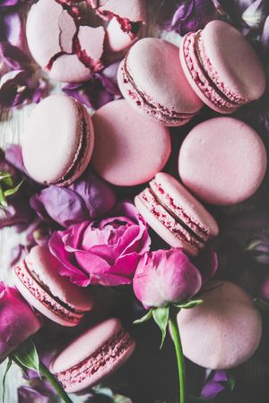 Sweet pink macaron cookies and pink and purple flowers