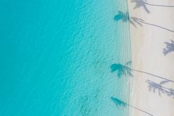 Palm tree shadows on tropical blue water