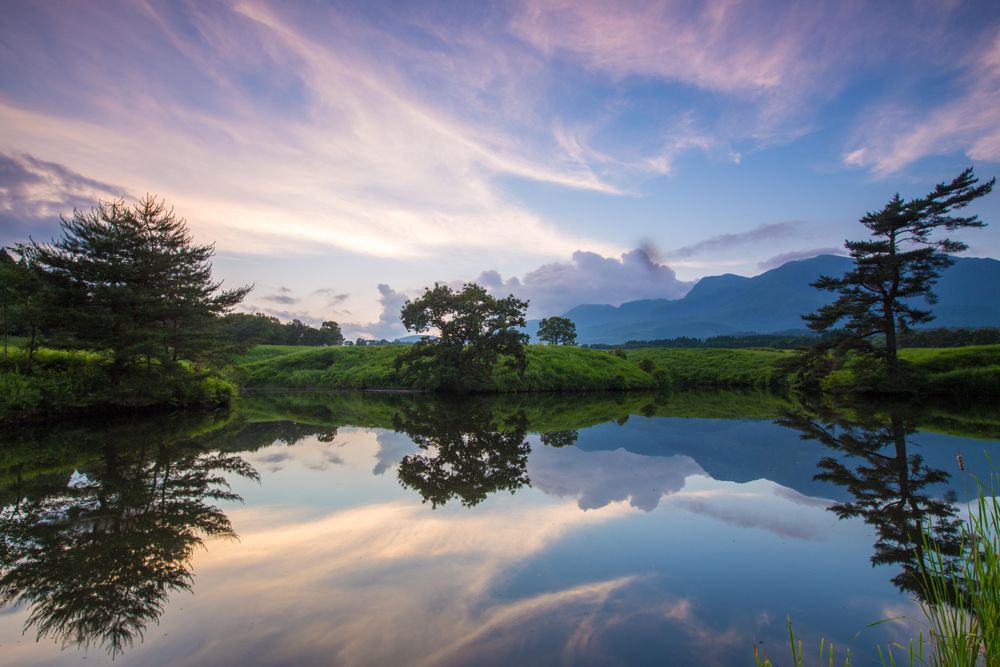 Green trees beside river under cloudy sky with reflection on water