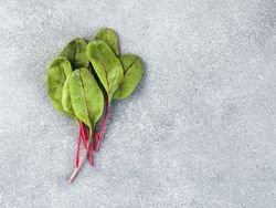 Bunch of green chard leaves or mangold