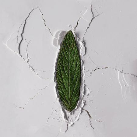 Powder texture with leaf and cracks