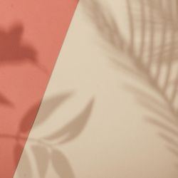 Top view of tropical leaf shadow on orange and sand color background
