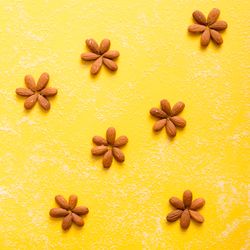 Almond in flower pattern on yellow background
