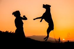 Female playing with dog at hilly area in evening
