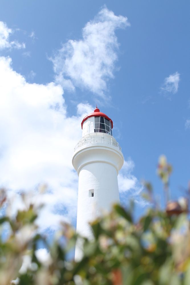 Light house nestled among plants
