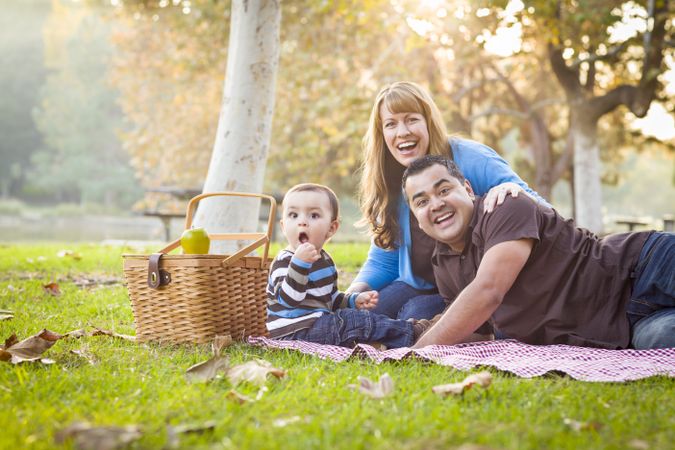 Happy Family Having a Picnic In Park