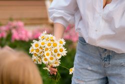 Woman with a bouquet of chrysanthemums. Background flowers