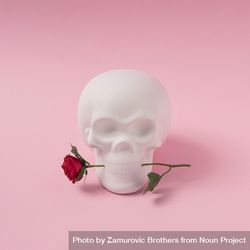Skull with rose flower 49lyn5
